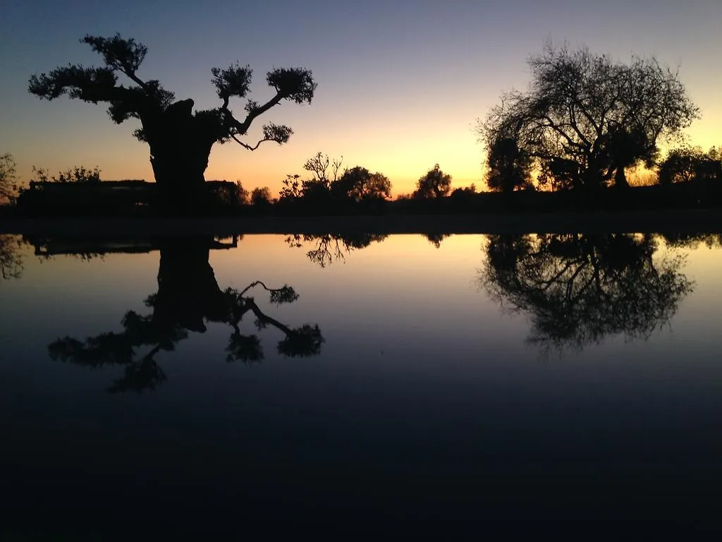 Espargosa Monte De Baixo & Art Castro Marim